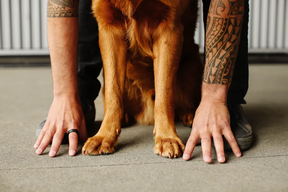 Huck sitting with his front paws between Peter’s hands, just before he offers one